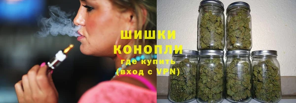 прущие грибы Верхний Тагил