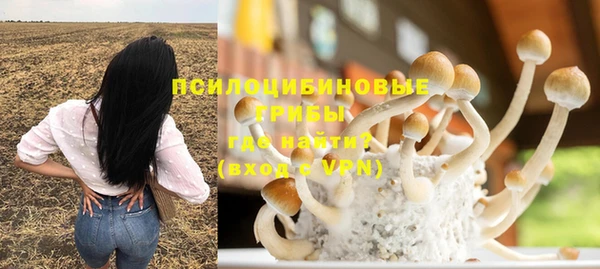 прущие грибы Верхний Тагил