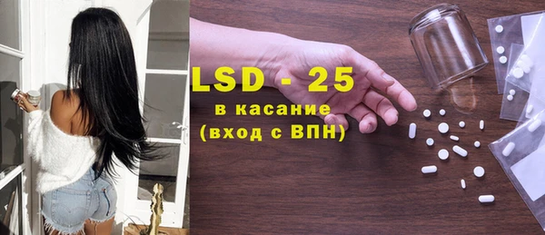 прущие грибы Верхний Тагил