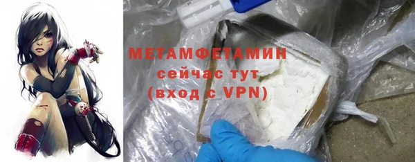 прущие грибы Верхний Тагил