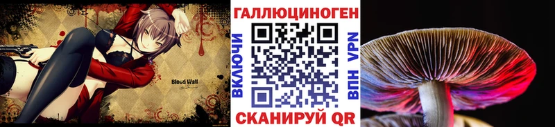 Галлюциногенные грибы MAGIC MUSHROOMS  Новочебоксарск 