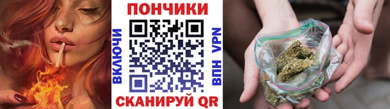 МАРИХУАНА индика  darknet наркотические препараты  Новочебоксарск 